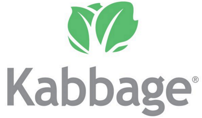 Kabbage.com – the Growth Strategy of a Billion Dollar Fintech Startup
